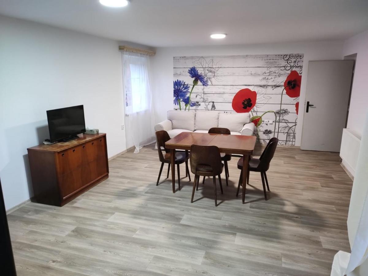 Appartement U Letiste à Kněževes Extérieur photo